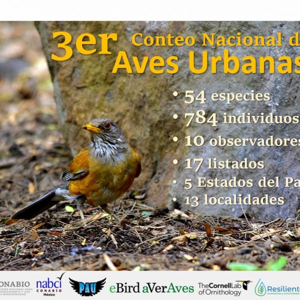 VCA_3er_Conteo_Nacional_de_Aves