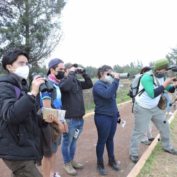 VCA_Curso_Iniciacion_en_la_observacion_de_aves