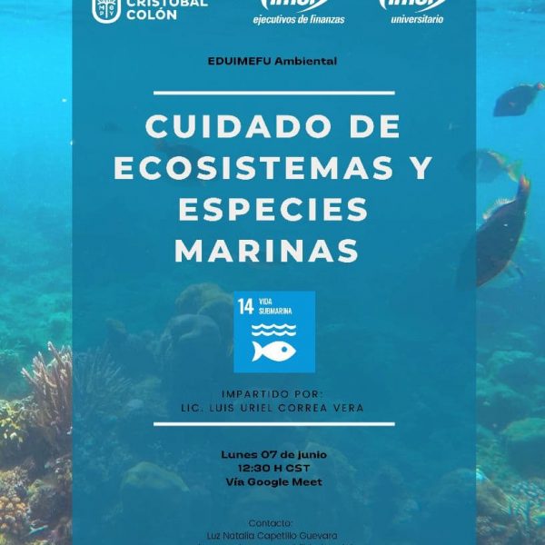 VCA_IMEF_Cuidado_de_Ecosistemas_y_Especies_Marinas_ODS14