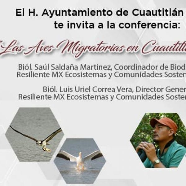 VCA_Las_Aves_Migratorias_en_Cuautitlán_Izcalli