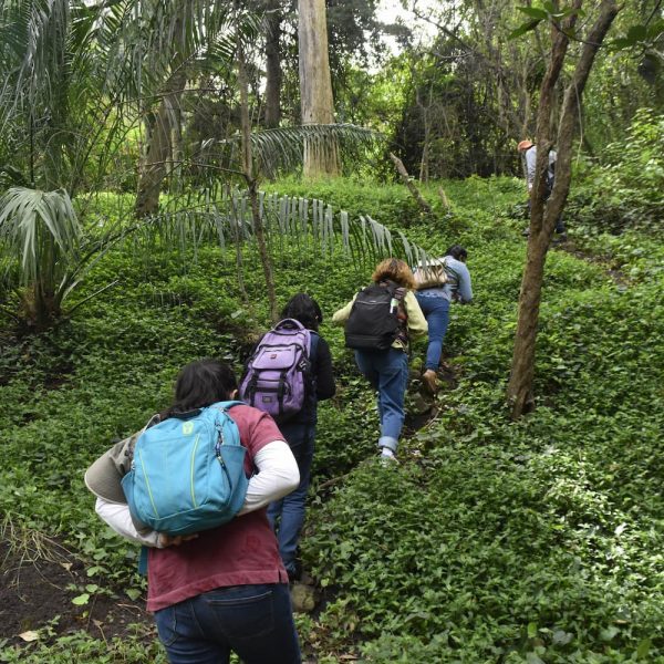 VCA_Voluntariado_Registro_de_Biodiversidad_IMJUVE_Fuentes_Brotantes